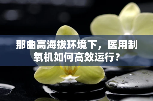 那曲高海拔环境下，医用制氧机如何高效运行？