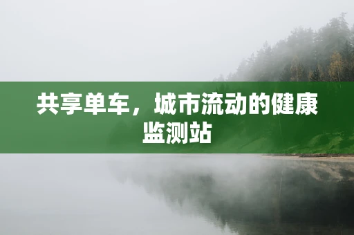 共享单车，城市流动的健康监测站