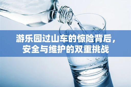游乐园过山车的惊险背后，安全与维护的双重挑战
