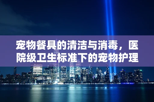 宠物餐具的清洁与消毒，医院级卫生标准下的宠物护理关键