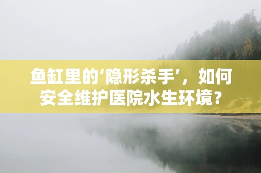 鱼缸里的‘隐形杀手’，如何安全维护医院水生环境？