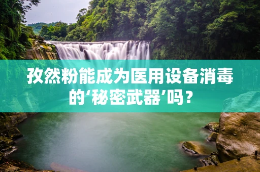 孜然粉能成为医用设备消毒的‘秘密武器’吗？