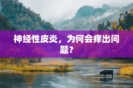 神经性皮炎，为何会痒出问题？