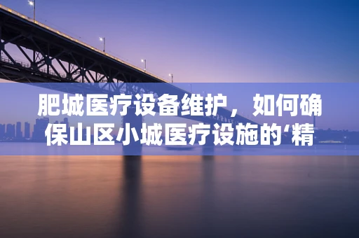 肥城医疗设备维护，如何确保山区小城医疗设施的‘精准脉动’？