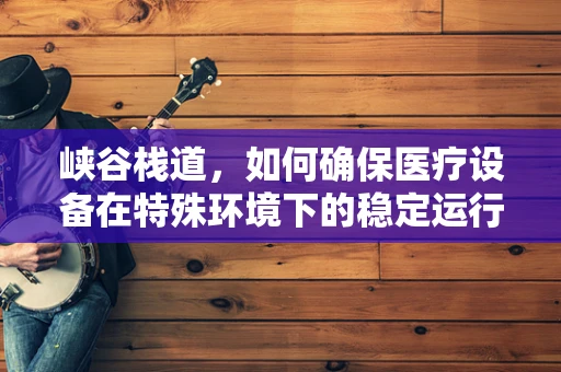 峡谷栈道，如何确保医疗设备在特殊环境下的稳定运行？