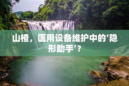 山楂，医用设备维护中的‘隐形助手’？