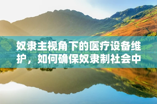 奴隶主视角下的医疗设备维护，如何确保奴隶制社会中的医疗资源公平分配？