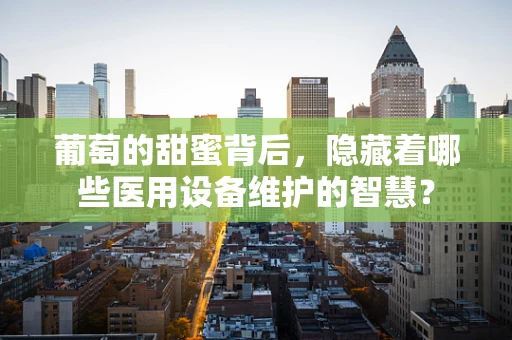 葡萄的甜蜜背后，隐藏着哪些医用设备维护的智慧？