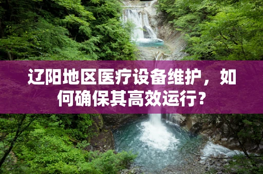 辽阳地区医疗设备维护，如何确保其高效运行？