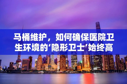 马桶维护，如何确保医院卫生环境的‘隐形卫士’始终高效运行？