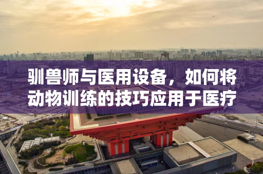 驯兽师与医用设备，如何将动物训练的技巧应用于医疗设备维护？