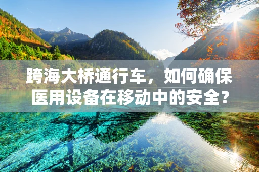 跨海大桥通行车，如何确保医用设备在移动中的安全？