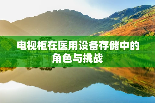 电视柜在医用设备存储中的角色与挑战