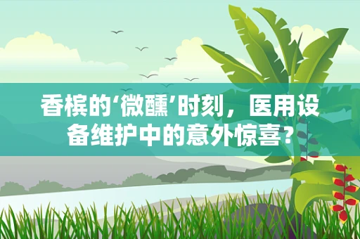 香槟的‘微醺’时刻，医用设备维护中的意外惊喜？