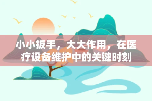 小小扳手，大大作用，在医疗设备维护中的关键时刻
