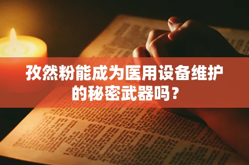 孜然粉能成为医用设备维护的秘密武器吗？