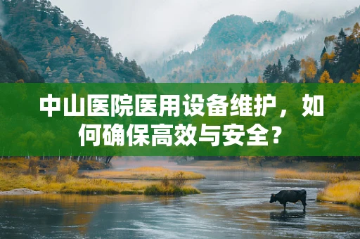 中山医院医用设备维护，如何确保高效与安全？