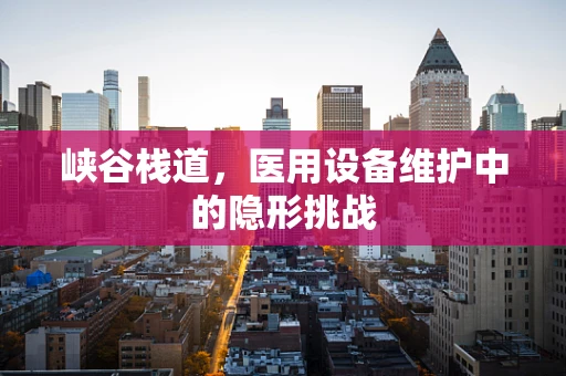 峡谷栈道，医用设备维护中的隐形挑战