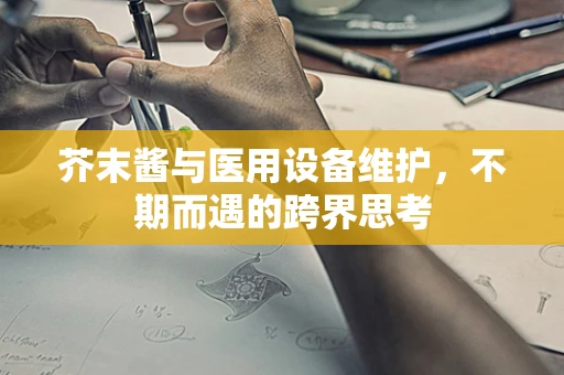 芥末酱与医用设备维护，不期而遇的跨界思考