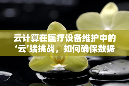 云计算在医疗设备维护中的‘云’端挑战，如何确保数据安全与高效运维？