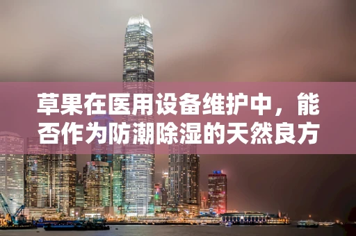 草果在医用设备维护中，能否作为防潮除湿的天然良方？