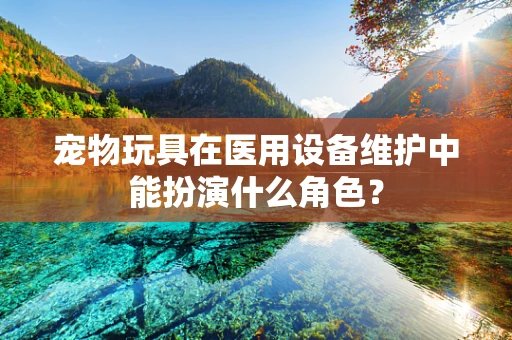 宠物玩具在医用设备维护中能扮演什么角色？