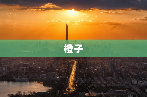 橙子