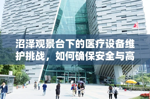 沼泽观景台下的医疗设备维护挑战，如何确保安全与高效？