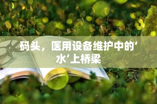 码头，医用设备维护中的‘水’上桥梁