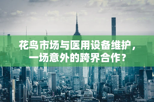 花鸟市场与医用设备维护，一场意外的跨界合作？