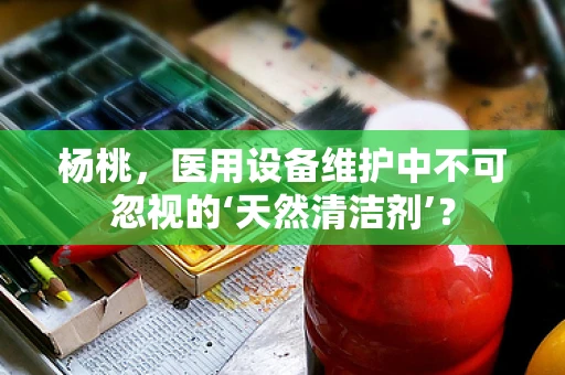 杨桃，医用设备维护中不可忽视的‘天然清洁剂’？