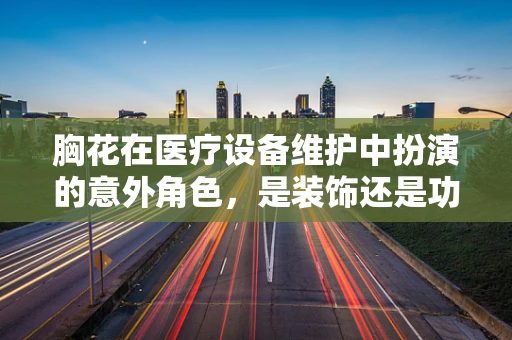 胸花在医疗设备维护中扮演的意外角色，是装饰还是功能？