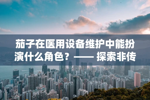 茄子在医用设备维护中能扮演什么角色？—— 探索非传统应用领域的奇妙联系