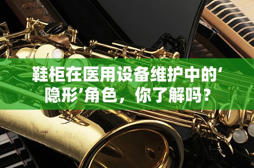 鞋柜在医用设备维护中的‘隐形’角色，你了解吗？