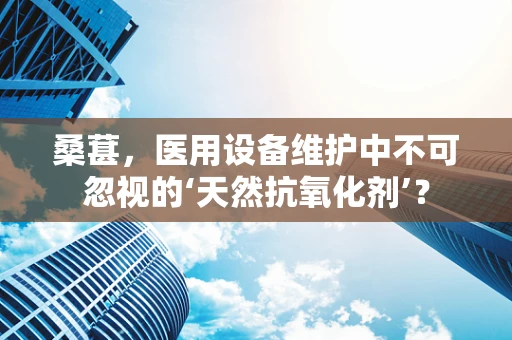 桑葚，医用设备维护中不可忽视的‘天然抗氧化剂’？