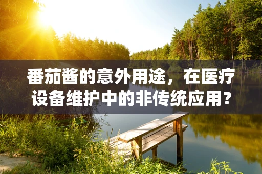 番茄酱的意外用途，在医疗设备维护中的非传统应用？