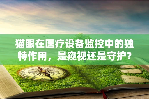 猫眼在医疗设备监控中的独特作用，是窥视还是守护？