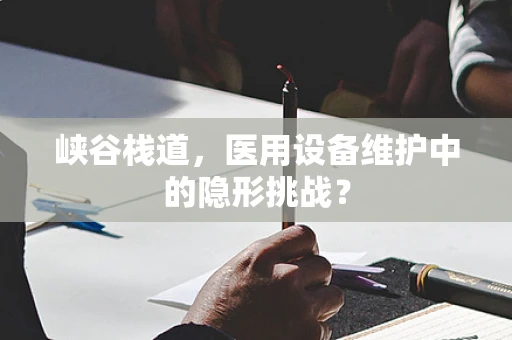 峡谷栈道，医用设备维护中的隐形挑战？