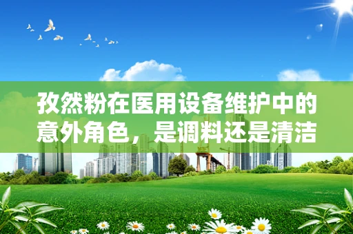孜然粉在医用设备维护中的意外角色，是调料还是清洁剂？
