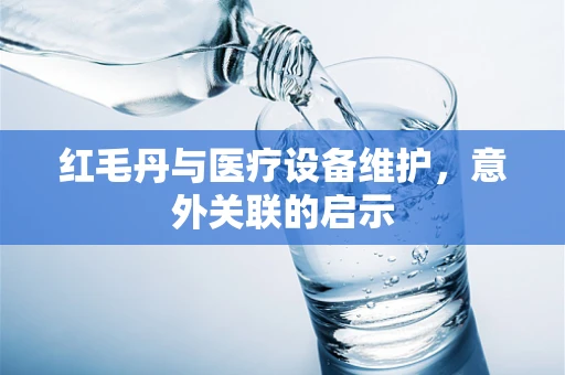 红毛丹与医疗设备维护，意外关联的启示