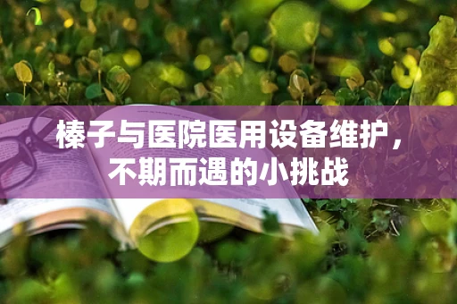 榛子与医院医用设备维护，不期而遇的小挑战