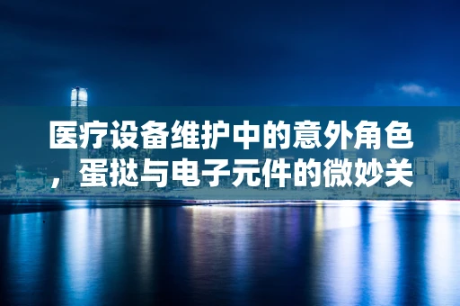 医疗设备维护中的意外角色，蛋挞与电子元件的微妙关系