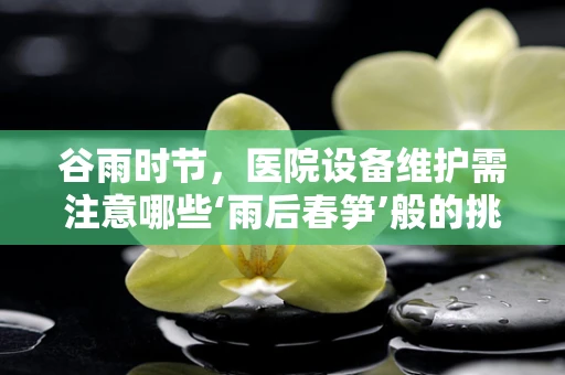 谷雨时节，医院设备维护需注意哪些‘雨后春笋’般的挑战？