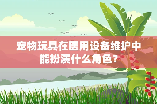 宠物玩具在医用设备维护中能扮演什么角色？