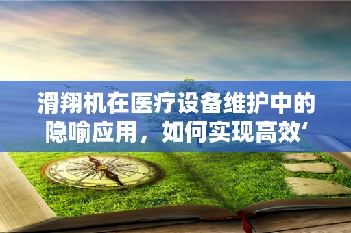 滑翔机在医疗设备维护中的隐喻应用，如何实现高效‘飞行’？