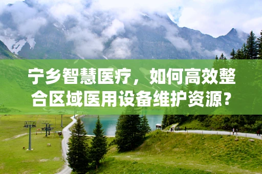 宁乡智慧医疗，如何高效整合区域医用设备维护资源？]