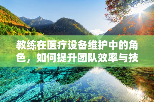 教练在医疗设备维护中的角色，如何提升团队效率与技能？