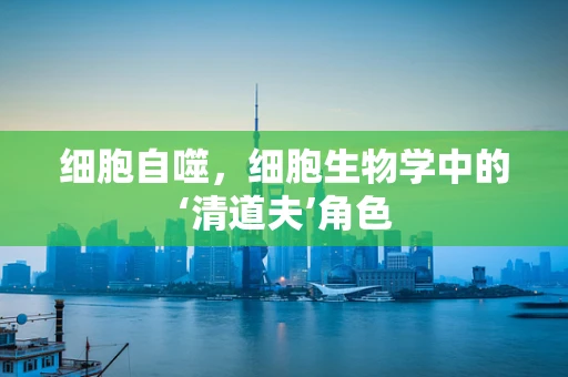 细胞自噬，细胞生物学中的‘清道夫’角色