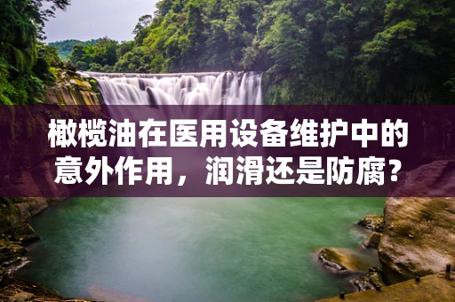 橄榄油在医用设备维护中的意外作用，润滑还是防腐？