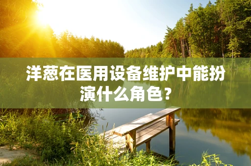 洋葱在医用设备维护中能扮演什么角色？